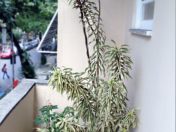 Luiz Leblon Guest House Rio de Janeiro Bagian luar foto